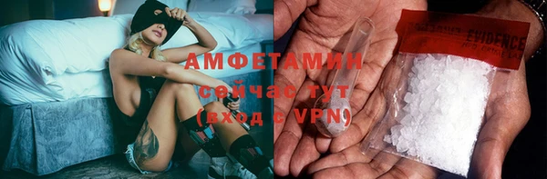 гидра Бородино