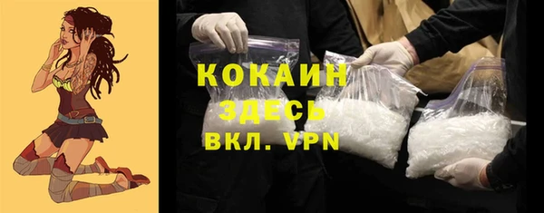 гидра Бородино