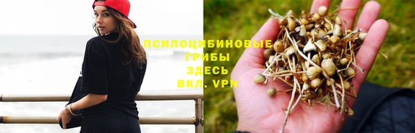 шишки Бронницы