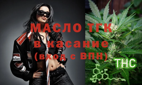 гидра Верхний Тагил