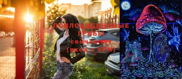 шишки Бронницы