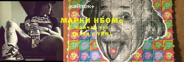 гидра Бородино