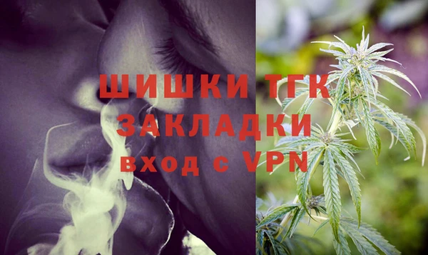 гидра Бородино