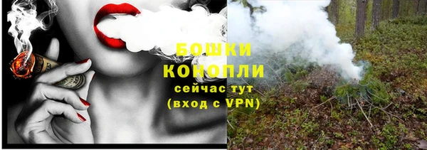 шишки Бронницы
