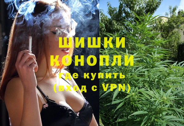 шишки Бронницы