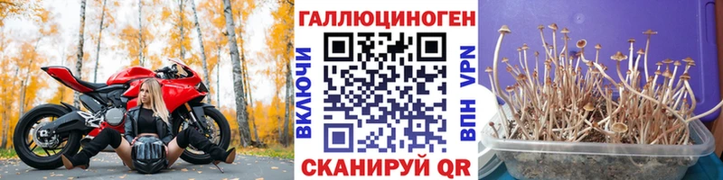 Галлюциногенные грибы мухоморы  Тула 